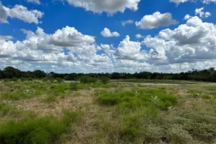 2607 Fm 318 E, Yoakum, TX 77995 - Photo 6