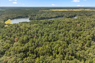 229 Co Rd 4554, Winnsboro, TX 75494 - Photo 8