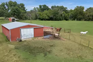 8445 S Fm 730, Boyd, TX 76023 - Photo 8