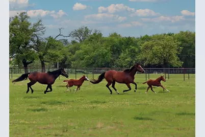10399 Zipper Road, Pilot Point, TX 76258 - Photo 6