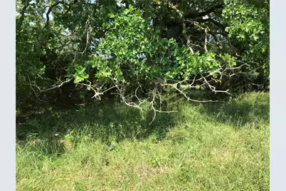 17061 Trailwood Drive, Whitney, TX 76692 - Photo 12