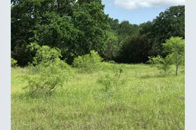 17061 Trailwood Drive, Whitney, TX 76692 - Photo 4