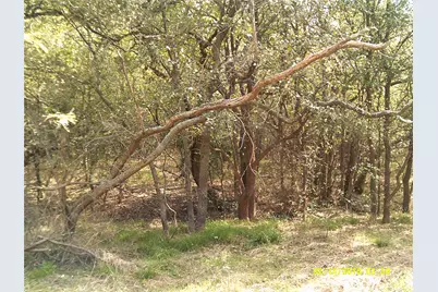 3926 Vista Oak, Royse City, TX 75189 - Photo 10