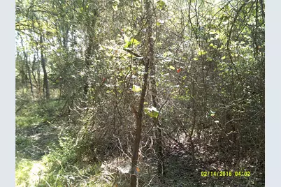 3926 Vista Oak, Royse City, TX 75189 - Photo 16