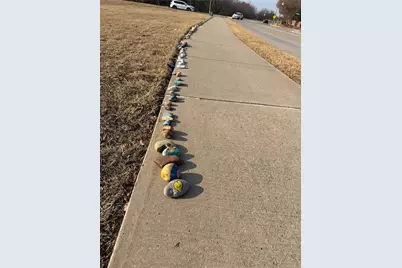 7817 Echo Hill Lane, Denton, TX 76208 - Photo 40