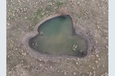 3891 Bethel Cannon Road, Van Alstyne, TX 75495 - Photo 14