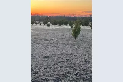 1110 County Road 697, Farmersville, TX 75442 - Photo 4