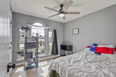 227 Lake Texoma Drive, Wylie, TX 75098 - Photo 22