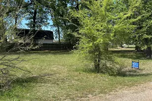 163 Navajo, Quitman, TX 75783 - Photo 1