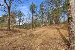 41 Cedar Bayou Blvd, Gordonville, TX 76245 - Photo 10