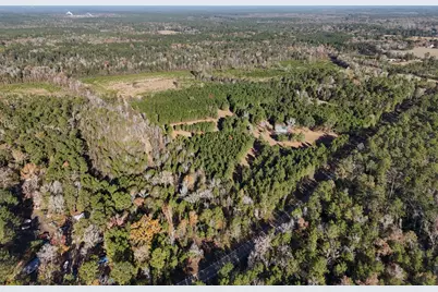 Lot 4 E Fm 942, Corrigan, TX 75934 - Photo 34