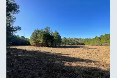 Lot 4 E Fm 942, Corrigan, TX 75934 - Photo 26