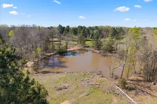 3115 Rains County Rd 2610, Alba, TX 75410 - Photo 36