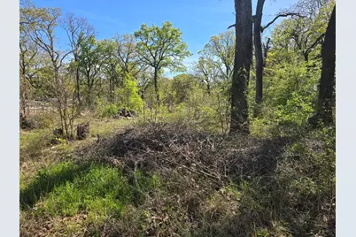 Lot 742 Oak Haven Drive, Gun Barrel City, TX 75156 - Photo 1