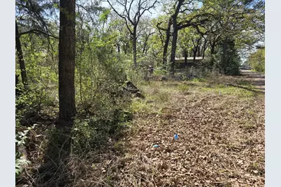 Lot 742 Oak Haven Drive, Gun Barrel City, TX 75156 - Photo 4