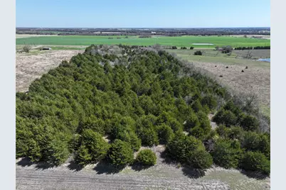 4058 Fm 981, Leonard, TX 75452 - Photo 2