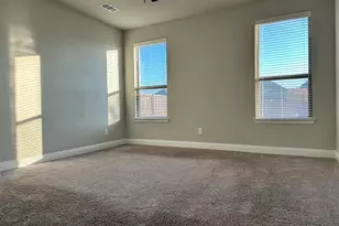 2732 Spg Crk Trl, Celina, TX 75078 - Photo 10