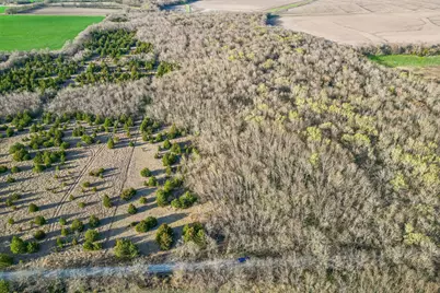 Lot 19 County Road 4813, Commerce, TX 75428 - Photo 10