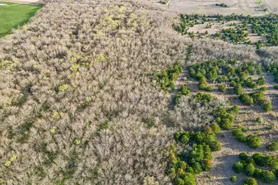 Lot 19 County Road 4813, Commerce, TX 75428 - Photo 8