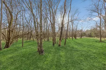 Lot 19 County Road 4813, Commerce, TX 75428 - Photo 4