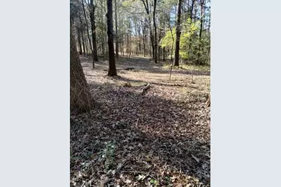 20039 County Road 450, Lindale, TX 75771 - Photo 10