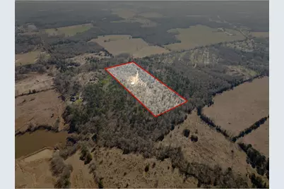 6524 Horse Rd, Gilmer, TX 75644 - Photo 2