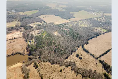 6524 Horse Rd, Gilmer, TX 75644 - Photo 4