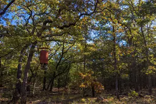 1210 Co Rd 232, Collinsville, TX 76233 - Photo 36