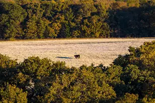 1210 Co Rd 232, Collinsville, TX 76233 - Photo 28