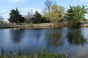 4491 Co Rd 4511, Commerce, TX 75428 - Photo 40