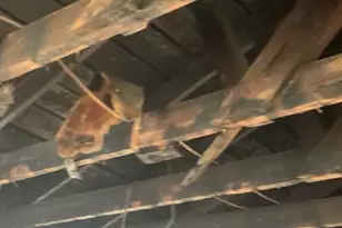 1223 Preston St, Waco, TX 76704 - Photo 6