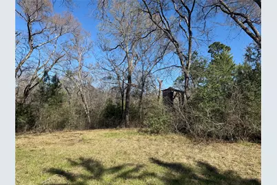 Tbd Cr  1755, Grapeland, TX 75844 - Photo 2