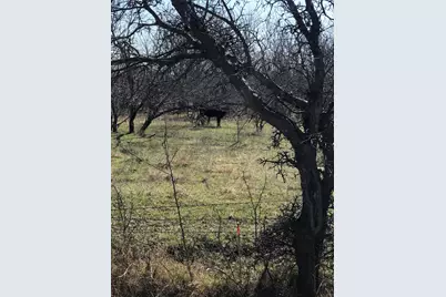 Tbd 3.177 Acres Winn Road, Collinsville, TX 76273 - Photo 6
