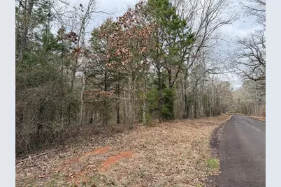 Tbd County Road 3986, Winnsboro, TX 75494 - Photo 14