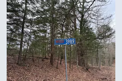 Tbd County Road 3986, Winnsboro, TX 75494 - Photo 16