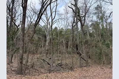 Tbd County Road 3986, Winnsboro, TX 75494 - Photo 20