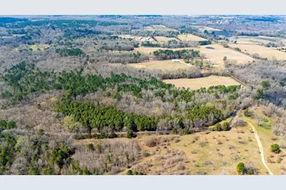 Tbd County Road 3986, Winnsboro, TX 75494 - Photo 12