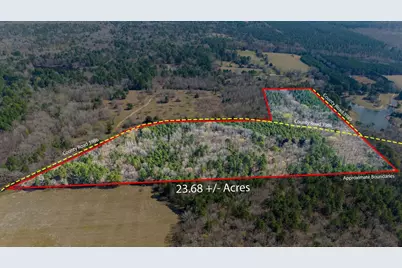 Tbd County Road 3986, Winnsboro, TX 75494 - Photo 2
