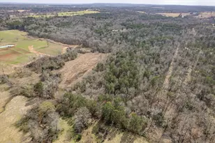 1070 Piney Grove, Rusk, TX 75785 - Photo 30