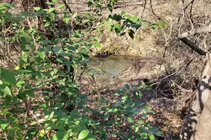 1070 Piney Grove, Rusk, TX 75785 - Photo 36