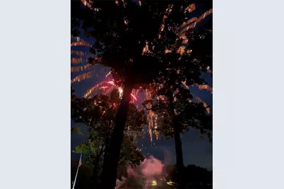 336 Private Road 5517, Alba, TX 75410 - Photo 30