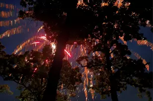 336 Private Road 5517, Alba, TX 75410 - Photo 30