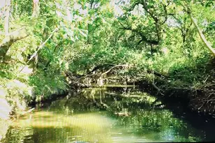 3325 Creek Rd, Keller, TX 76248 - Photo 22