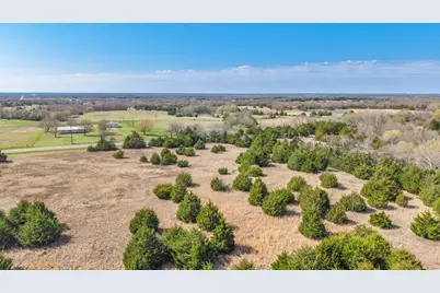 45.62 Acres S Hwy 78, Bonham, TX 75418 - Photo 8