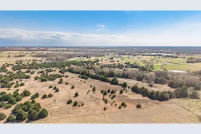 45.62 Acres S Hwy 78, Bonham, TX 75418 - Photo 14