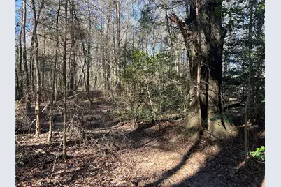 Tbd Fm 161 N, Naples, TX 75568 - Photo 2