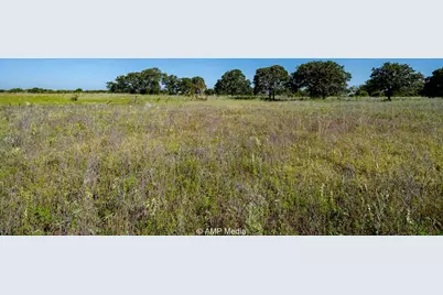 Tbd County Road 254, Rising Star, TX 76471 - Photo 4