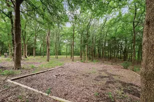 107 Falls Creek Ln, Gunter, TX 75058 - Photo 38