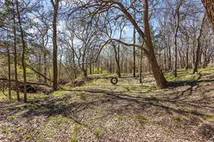 107 Falls Creek Ln, Gunter, TX 75058 - Photo 4