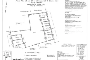 Tbd N Navarro St, Corsicana, TX 75110 - Photo 1